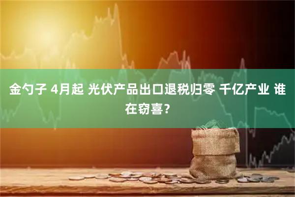 金勺子 4月起 光伏产品出口退税归零 千亿产业 谁在窃喜？