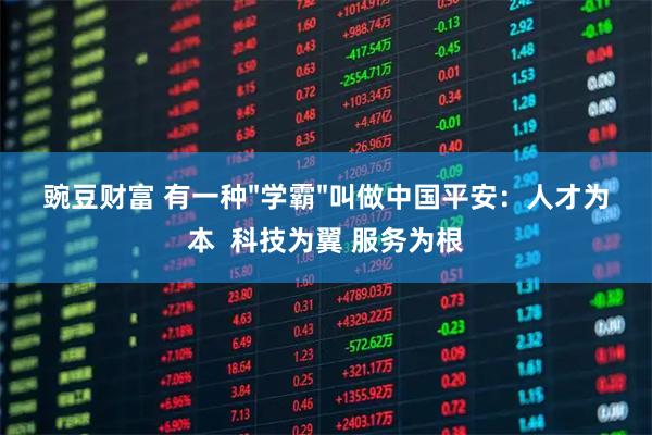 豌豆财富 有一种"学霸"叫做中国平安：人才为本  科技为翼 服务为根